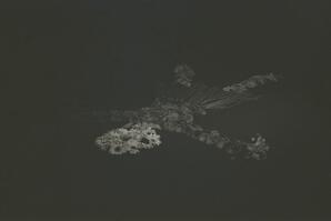 Paul Wong, 'Hungry Ghosts'