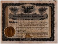 John Tynjala Certificate for Shares