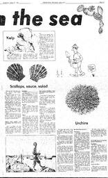 The Review Wed, August 20, 1986 (Page 7)